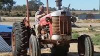 1963 Massey Ferguson 65